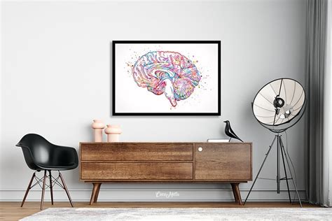 Brain Cross Section Anatomy Watercolor Print Medical Art | Etsy