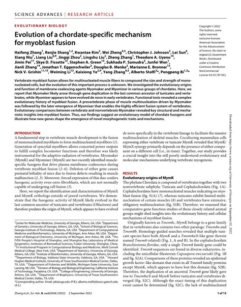 (PDF) Evolution of a chordate-specific mechanism for myoblast fusion