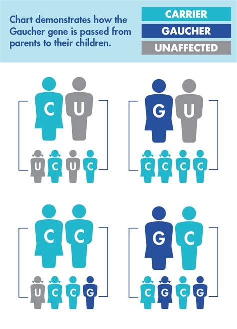 Gaucher Disease Inheritance & Genetics | National Gaucher Foundation