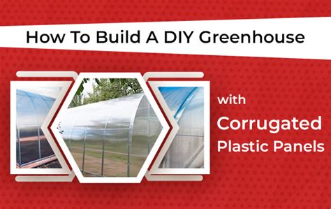 DIY Greenhouse with Corrugated Plastic Panels