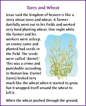 Tares and Wheat (Jesus' Parable) - Kids Korner - BibleWise