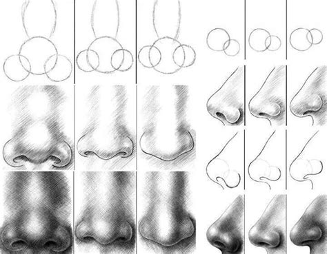 Sketching noses | Cómo dibujar cosas, Esbozos, Arte del bosquejo