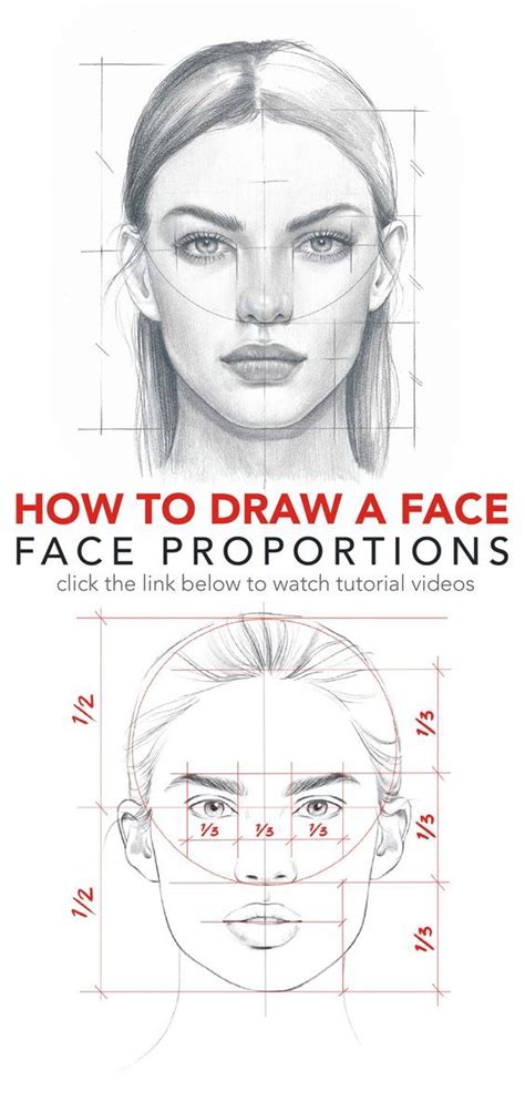 Free Face Proportions Guidance