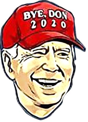 Byedon 2020 Byedon Hat Funny Joe Biden Anti Trump shirt