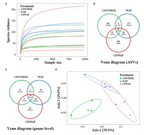 | Main statistics of biodiversity analysis. (A) Rarefaction curves of... | Download Scientific ...