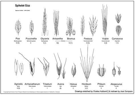 Grass structure One & Two