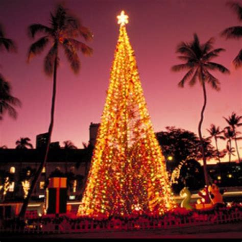 12 best Christmas in Hawaii images on Pinterest | Hawaii, Hawaiian ...