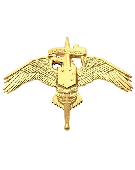 U.S. marine Corps MARSOC Badge Marine Forces Special Operations Command ...