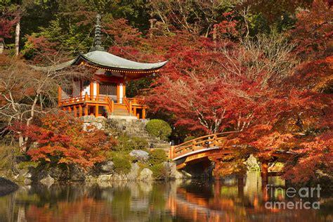 Autumn colours at Daigo-ji Temple in Kyoto, Japan Photograph by Sara Winter