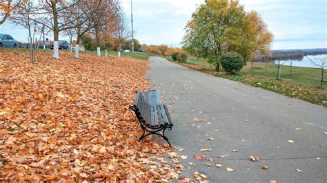 Wooden Bench Autumn in Park, Background Golden Leaves from Trees ...