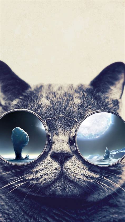 Glasses Cat Galaxy Wallpapers - Top Free Glasses Cat Galaxy Backgrounds - WallpaperAccess