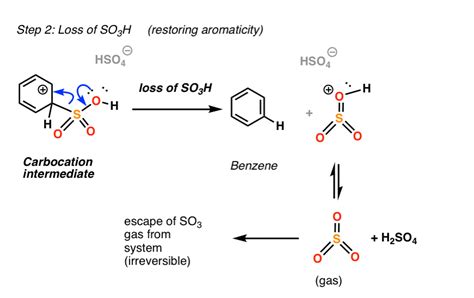 Rakete Gymnastik Überblick sulfonation reaction mechanism Mach alles mit meiner Kraft Fluss ...