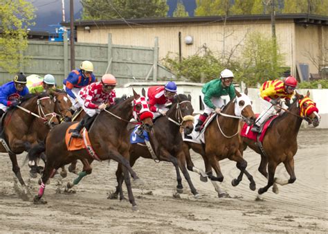 5 reasons to visit Hastings Racecourse | Daily Hive Vancouver