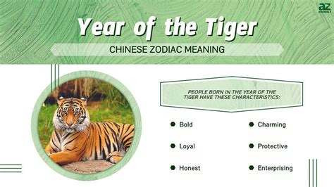 Year Of The Tiger 2024 Meaning - Zaria Kathrine