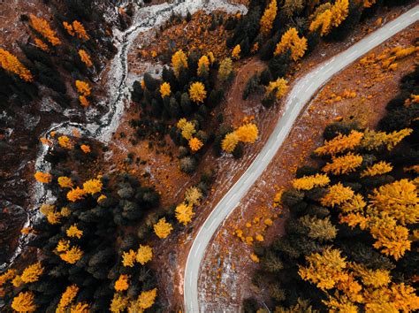 Autumn Forest Road from Above Free Stock Photo | picjumbo