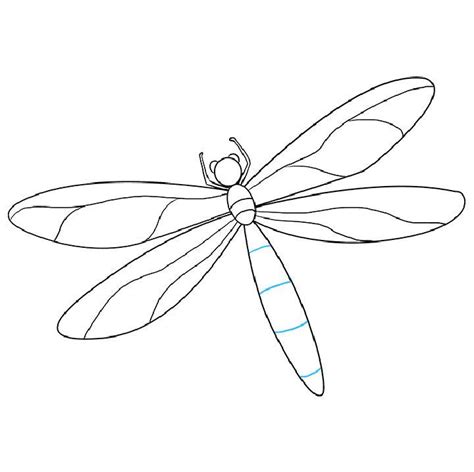 25 Easy Dragonfly Drawing Ideas - How to Draw