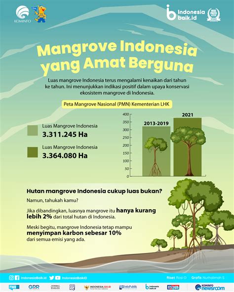 Mangrove Indonesia yang Amat Berguna | Indonesia Baik