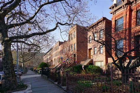 Everyday Life in Carroll Gardens, Brooklyn | Tracy Kaler's New York