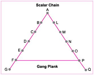 What is the principle of ‘scalar chain’? Explain briefly the utility of ...