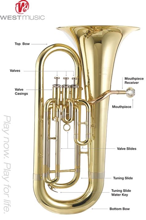 euphonium diagram | Euphonium, Music blog, Music education