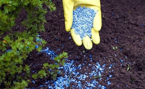 What You Need To Know About Synthetic Fertilizers | TopTillers.com