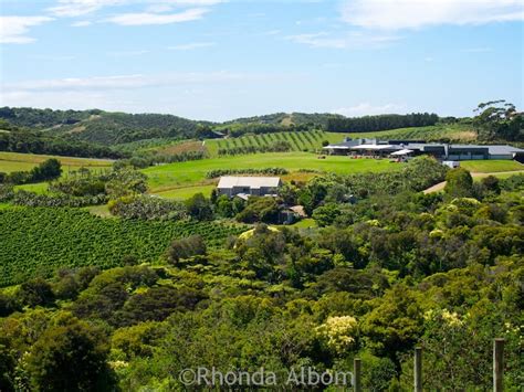 Waiheke Island Wine: Photos from My Favourite Vineyards