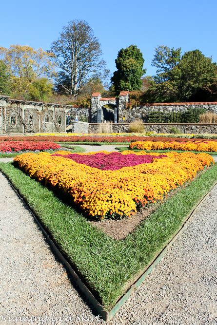 Biltmore Estate Gardens in Fall | Healthy Living Lifestyle Blog | Vegetarian & Pescatarian Recipes