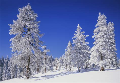 Lake Tahoe Winter Activities | Tahoe Rental Company