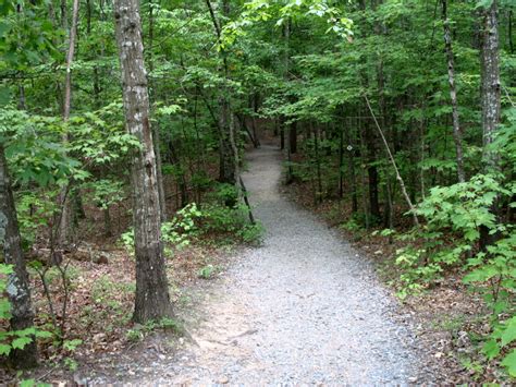 Hiking Tips for Beginners and the Out of Shape: Strategies for Success on Every Mountain ...