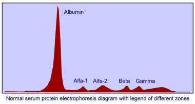 Protein Electrophoresis Alpha 1 - Protein Info