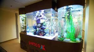 Petco Fish Tank | Fish tank, Aquarium fish, Petco