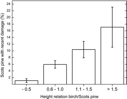 Bergqvist G., Bergström R. et al. (2014) Recent browsing damage by ...