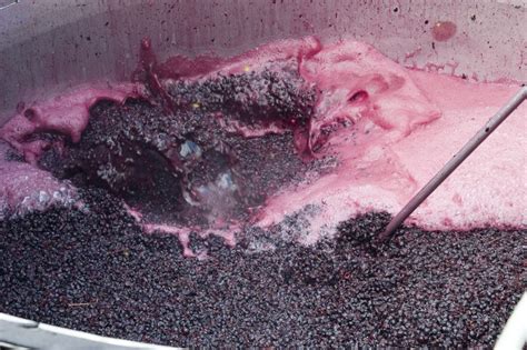 Red Wine Fermentation Process - Cap Management Wine | Pulsair