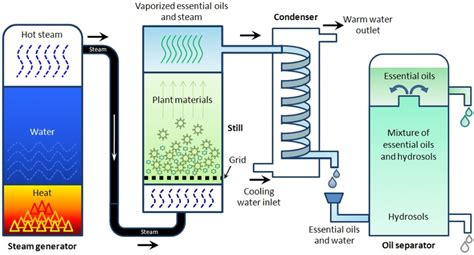 Diagrammatic illustration of steam distillation method. | Download ...