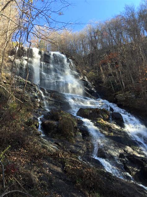 Amicalola Falls State Park Camping | The Dyrt