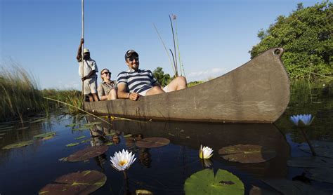 Experience the magic of the Okavango Delta | Bench Africa