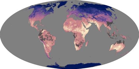 Land Surface Temperature