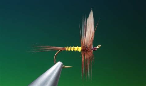 Dry flies in 2022 | Caddis flies, Fly tying patterns, Fly tying tools