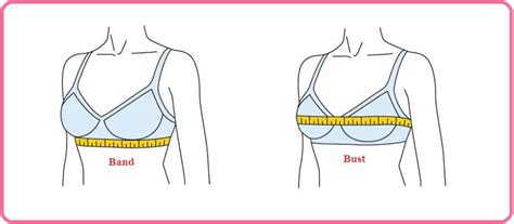 How to Measure Your Bra Size To Find Your Perfect Fit