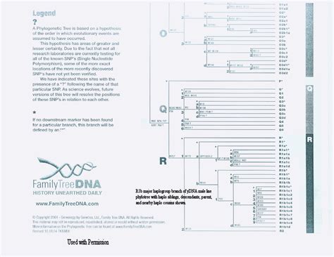 Haplogruppe R (Y-DNA) – Wikipedia