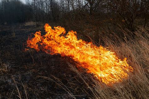 Uncontrolled Fire stock photo. Image of blaze, flammable - 5567136