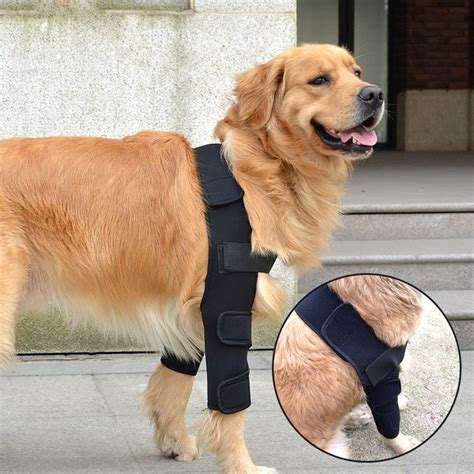 Dog Elbow Pads Protector for Hygroma, Adjustable Dog Shoulder Brace Front Leg Brace Wraps ...