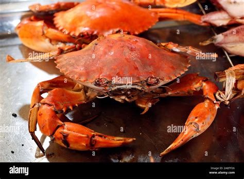 Food stall at Kep crab market. Grilled crab. Kep. Cambodia Stock Photo - Alamy