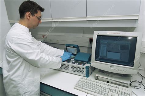 Forensic DNA analysis - Stock Image - H200/0494 - Science Photo Library