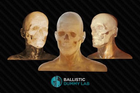 Heads – Ballistic Dummy Lab