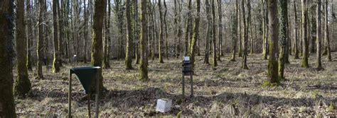 Intensive long term monitoring of forest ecosystems - related studies ...