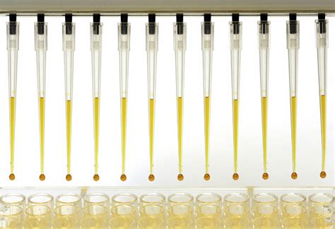 Hold the Agarose! Advanced PCR Methods for Genotyping Mice