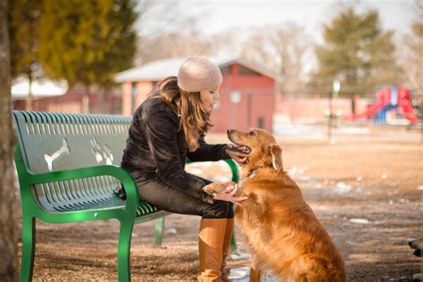 Dog ParkAmenities | Dog Park Benches | Dog Park Tables