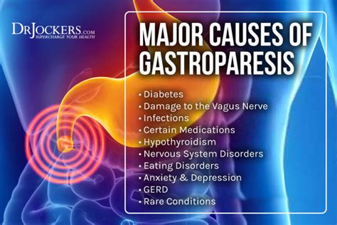 Gastroparesis: Symptoms, Causes and Natural Support Strategies