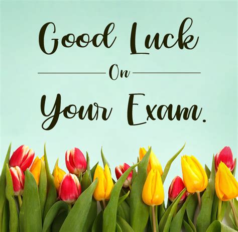 200+ Exam Wishes - Best Wishes For Exam | WishesMsg